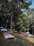 El Bosque Hotel Boutique