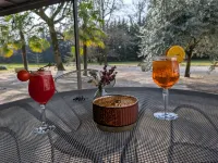 Hotel Alexander Park Chambery - Baarit