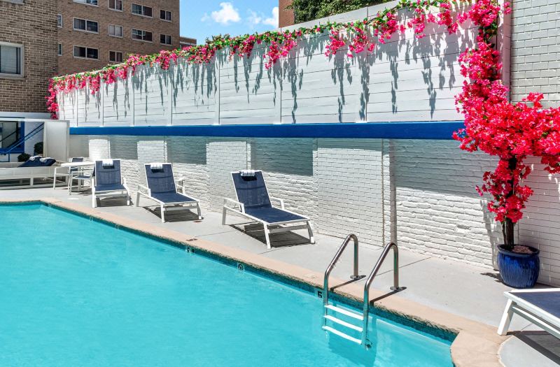 The Royal Sonesta Washington DC Dupont Circle photo 3
