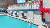 The Royal Sonesta Washington DC Dupont Circle - Pools
