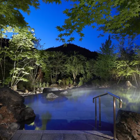 Yamanokami Onsen Bessho Seiryukan