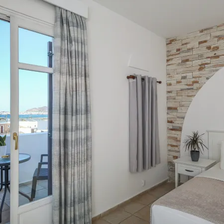 Naxos Palace Hotel Отели рядом с достопримечательностью «Пляж Плака»