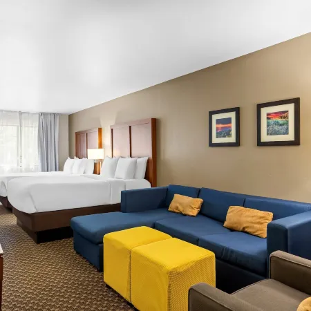 Comfort Inn & Suites Midtown