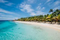 Harbour Village Beach Club - شاطئ