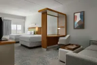 SpringHill Suites Charleston Mount Pleasant - 3-Star