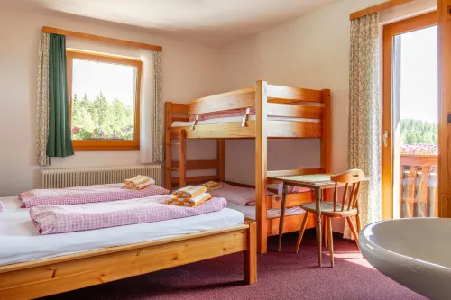 Berggasthof Hollhaus - 2-Star
