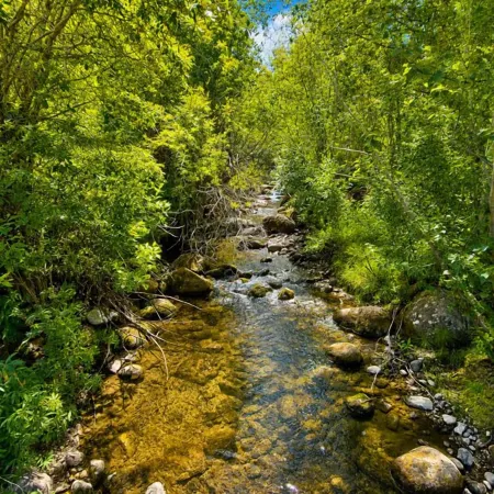 Townsend Place Condo 3 Minutes Walk to Beaver Creek VIllage by RedAwning