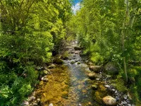 Townsend Place Condo 3 Minutes Walk to Beaver Creek VIllage by RedAwning - Condos