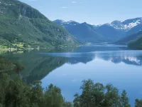 Fjellbris
