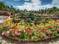 大叻森米酒店 鄰近瘋屋子的酒店