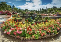 Hotel du Lys Hotels in der Nähe von Minh Nguyệt Cư Sĩ Lâm