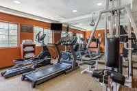 Comfort Inn & Suites Texas Hill Country - Gym
