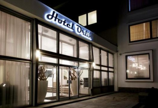 Vilas & Wellness Resort Orlík - Housity