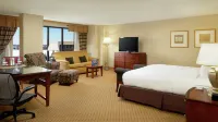 Hilton Washington Dulles Airport Hotels in Herndon