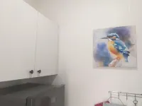 Padlangs Hotels in Kimberley