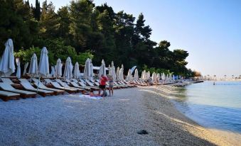 Dragi - Great Location & Comfortable - A2
