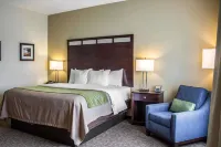 Comfort Inn Hotels in Wheeling
