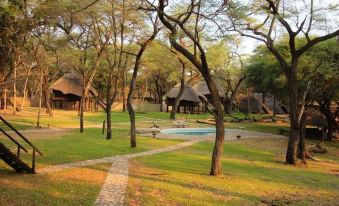 The Tree Lodge at Sikumi