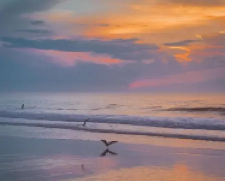 โรงแรมเมย์แฟร์‎