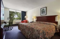 Super 8 by Wyndham Dover Hotels in Kent County