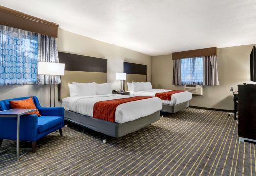 4. 컴포트 인 & ..