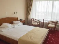 Hotel Traian Hotels in Brăila