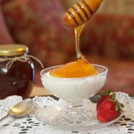Agnantia Bed & Breakfast