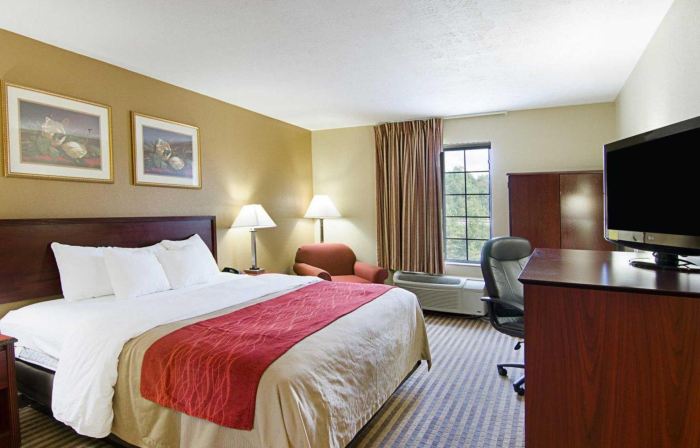 Comfort Inn New River