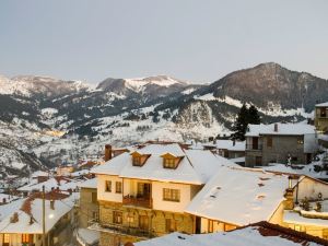 Asteri Metsovo