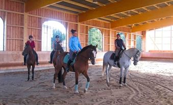 Gut Sarnow - Hotel, Restaurant Und Reitanlage