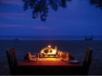 Seclude Kerala, Marari Sands - Beach