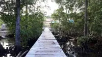 Rifalda Cottage Hotels in Waisai