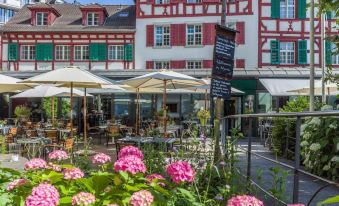 Hotel Hofgarten Luzern