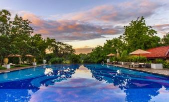 a large outdoor swimming pool surrounded by lush greenery , with several lounge chairs and umbrellas placed around the pool at Uga Ulagalla - Anuradhapura