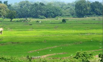 Mangroven River View Hotel