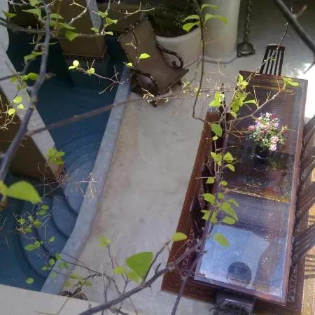 Riad Lorsya