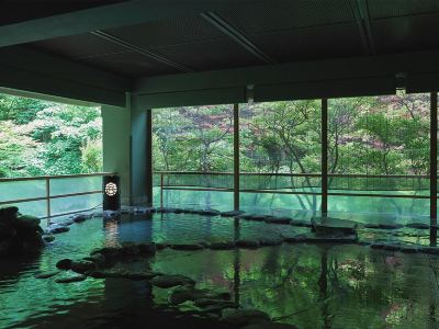 スパ・大浴場 鶯宿温泉 長栄館の写真