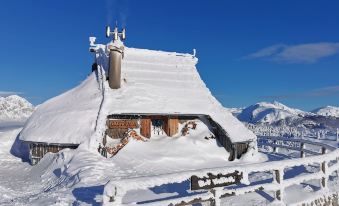 Koča Ojstrica - Velika Planina - Housity