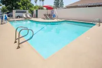 Days Inn by Wyndham Anaheim Near the Park - Pools