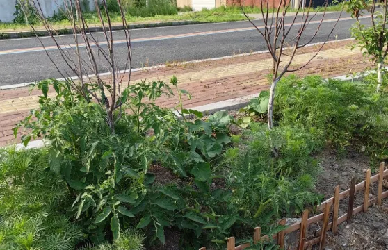 松籽曉築艷華特色民宿（江山街分店）