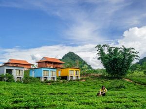 Moc Chau Arena Village