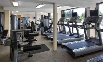 a well - equipped gym with various exercise equipment , such as treadmills , weight machines , and cardio machines at Marriott Saddle Brook
