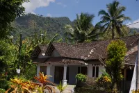 Homestay Mudiyono Hotels in Ngargogondo