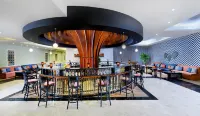 JAZ Soma Beach - bar