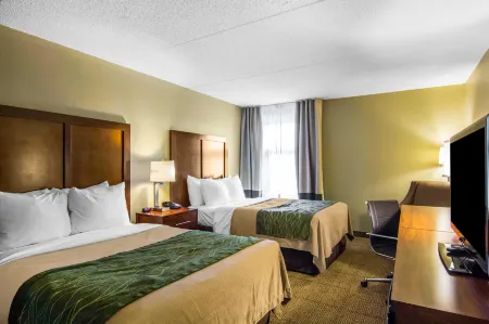 Comfort Inn Newport News-Williamsburg East