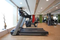Radisson Udaipur - Gym
