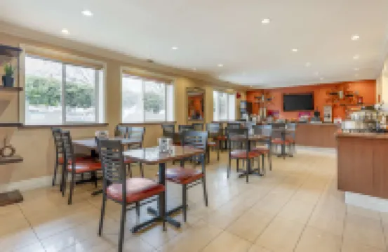 機場廣場貝斯特韋斯特優質酒店