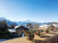 Le Mont Blanc 14