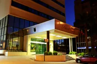 Hotel Black Tulip - Porto Gaia Hotels near Calem