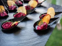 هوتل نوفو بوسطن Hotels near باراخاس